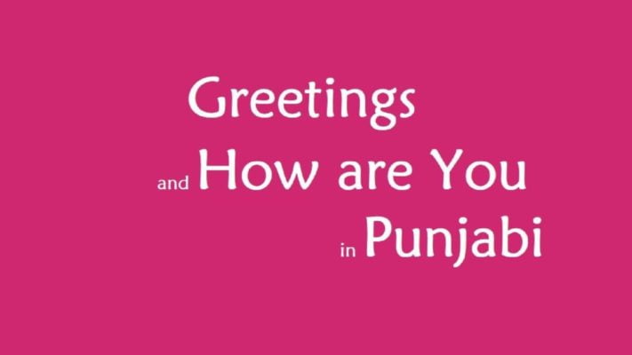 csed-csed-Greetings-and-How-are-You-in-Punjabi