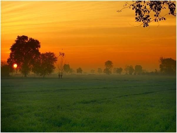 punjabi lifestyle